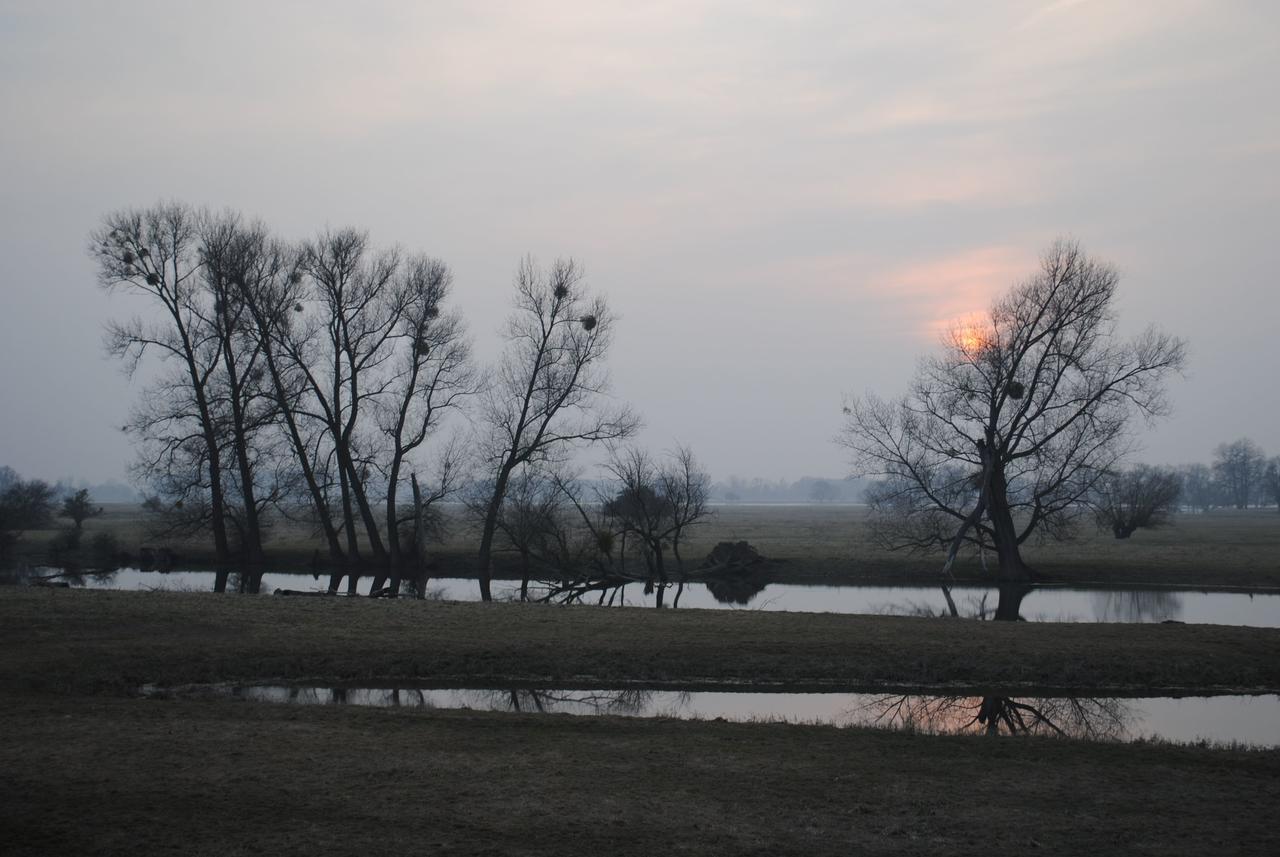 Alter Hof Am Elbdeich 호텔 Unbesandten 외부 사진